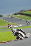 Motorcycle-action-photographs;Trackday-digital-images;event-digital-images;eventdigitalimages;no-limits-trackday;oulton-park;oulton-park-circuit-cheshire;oulton-park-photographs;peter-wileman-photography;trackday;trackday-photos