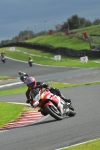 Motorcycle-action-photographs;Trackday-digital-images;event-digital-images;eventdigitalimages;no-limits-trackday;oulton-park;oulton-park-circuit-cheshire;oulton-park-photographs;peter-wileman-photography;trackday;trackday-photos