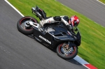 Motorcycle-action-photographs;Trackday-digital-images;cadwell;cadwell-park-photographs;event-digital-images;eventdigitalimages;motor-racing-louth-lincolnshire;no-limits-trackday;peter-wileman-photography;trackday;trackday-photos