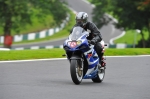 Motorcycle-action-photographs;Trackday-digital-images;cadwell;cadwell-park-photographs;event-digital-images;eventdigitalimages;motor-racing-louth-lincolnshire;no-limits-trackday;peter-wileman-photography;trackday;trackday-photos