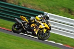 Motorcycle-action-photographs;Trackday-digital-images;cadwell;cadwell-park-photographs;event-digital-images;eventdigitalimages;motor-racing-louth-lincolnshire;no-limits-trackday;peter-wileman-photography;trackday;trackday-photos