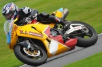 Motorcycle-action-photographs;Trackday-digital-images;cadwell;cadwell-park-photographs;event-digital-images;eventdigitalimages;motor-racing-louth-lincolnshire;no-limits-trackday;peter-wileman-photography;trackday;trackday-photos