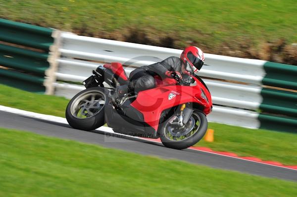 Motorcycle action photographs;Trackday digital images;cadwell;cadwell park photographs;event digital images;eventdigitalimages;motor racing louth lincolnshire;no limits trackday;peter wileman photography;trackday;trackday photos