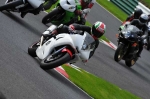 Motorcycle-action-photographs;Trackday-digital-images;cadwell;cadwell-park-photographs;event-digital-images;eventdigitalimages;motor-racing-louth-lincolnshire;no-limits-trackday;peter-wileman-photography;trackday;trackday-photos