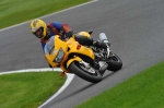 Motorcycle-action-photographs;Trackday-digital-images;cadwell;cadwell-park-photographs;event-digital-images;eventdigitalimages;motor-racing-louth-lincolnshire;no-limits-trackday;peter-wileman-photography;trackday;trackday-photos