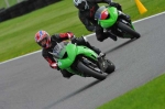 Motorcycle-action-photographs;Trackday-digital-images;cadwell;cadwell-park-photographs;event-digital-images;eventdigitalimages;motor-racing-louth-lincolnshire;no-limits-trackday;peter-wileman-photography;trackday;trackday-photos