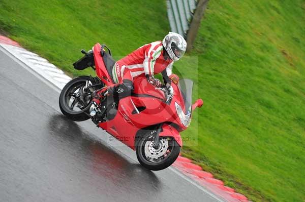 Motorcycle action photographs;Trackday digital images;cadwell;cadwell park photographs;event digital images;eventdigitalimages;hopp rider training;motor racing louth lincolnshire;peter wileman photography;trackday;trackday photos