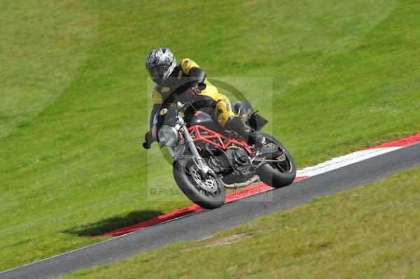 Motorcycle action photographs;Trackday digital images;cadwell;cadwell park photographs;event digital images;eventdigitalimages;hopp rider training;motor racing louth lincolnshire;peter wileman photography;trackday;trackday photos