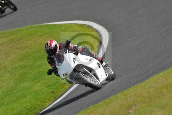 Motorcycle action photographs;Trackday digital images;cadwell;cadwell park photographs;event digital images;eventdigitalimages;hopp rider training;motor racing louth lincolnshire;peter wileman photography;trackday;trackday photos