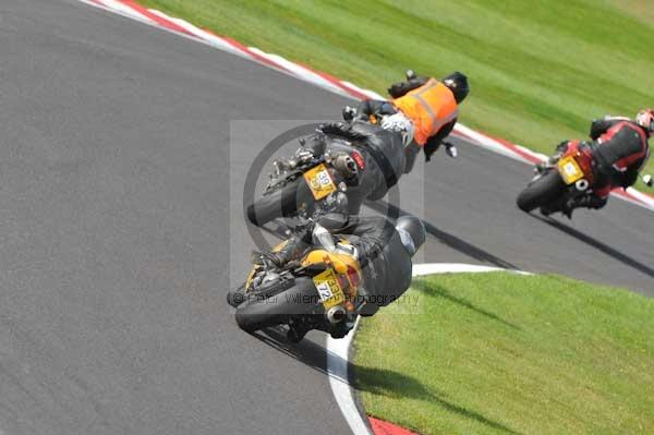 Motorcycle action photographs;Trackday digital images;cadwell;cadwell park photographs;event digital images;eventdigitalimages;hopp rider training;motor racing louth lincolnshire;peter wileman photography;trackday;trackday photos
