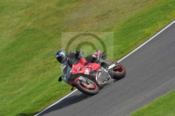 Motorcycle action photographs;Trackday digital images;cadwell;cadwell park photographs;event digital images;eventdigitalimages;hopp rider training;motor racing louth lincolnshire;peter wileman photography;trackday;trackday photos