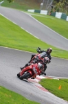 Motorcycle-action-photographs;Trackday-digital-images;cadwell;cadwell-park-photographs;event-digital-images;eventdigitalimages;hopp-rider-training;motor-racing-louth-lincolnshire;peter-wileman-photography;trackday;trackday-photos