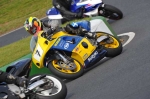 Mallory-park-Leicestershire;Mallory-park-photographs;Motorcycle-action-photographs;Trackday-digital-images;event-digital-images;eventdigitalimages;mallory-park;no-limits-trackday;peter-wileman-photography;trackday;trackday-photos