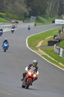 NOVICE MULTICOLOUR BIKES