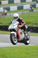 NOVICE MULTICOLOUR BIKES