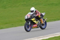 Motorcycle-action-photographs;anglesey-circuit;anglesey-trackday-photographs;event-digital-images;eventdigitalimages;no-limits-trackday;oulton-park-circuit-cheshire;peter-wileman-photography;trackday;trackday-digital-images;trackday-photos;ty-croes-circuit-wales