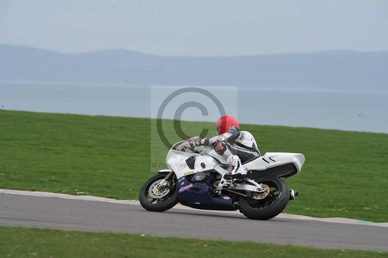Motorcycle action photographs;anglesey circuit;anglesey trackday photographs;event digital images;eventdigitalimages;no limits trackday;oulton park circuit cheshire;peter wileman photography;trackday;trackday digital images;trackday photos;ty croes circuit wales