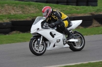 Motorcycle-action-photographs;anglesey-circuit;anglesey-trackday-photographs;event-digital-images;eventdigitalimages;no-limits-trackday;oulton-park-circuit-cheshire;peter-wileman-photography;trackday;trackday-digital-images;trackday-photos;ty-croes-circuit-wales