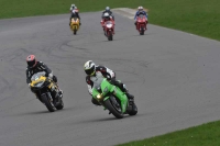 Motorcycle-action-photographs;anglesey-circuit;anglesey-trackday-photographs;event-digital-images;eventdigitalimages;no-limits-trackday;oulton-park-circuit-cheshire;peter-wileman-photography;trackday;trackday-digital-images;trackday-photos;ty-croes-circuit-wales