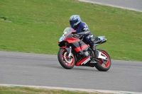 Motorcycle-action-photographs;anglesey-circuit;anglesey-trackday-photographs;event-digital-images;eventdigitalimages;no-limits-trackday;oulton-park-circuit-cheshire;peter-wileman-photography;trackday;trackday-digital-images;trackday-photos;ty-croes-circuit-wales