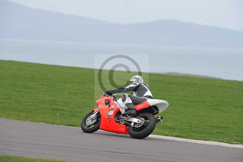 Motorcycle action photographs;anglesey circuit;anglesey trackday photographs;event digital images;eventdigitalimages;no limits trackday;oulton park circuit cheshire;peter wileman photography;trackday;trackday digital images;trackday photos;ty croes circuit wales