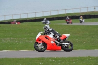 Motorcycle-action-photographs;anglesey-circuit;anglesey-trackday-photographs;event-digital-images;eventdigitalimages;no-limits-trackday;oulton-park-circuit-cheshire;peter-wileman-photography;trackday;trackday-digital-images;trackday-photos;ty-croes-circuit-wales