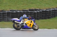 Motorcycle-action-photographs;anglesey-circuit;anglesey-trackday-photographs;event-digital-images;eventdigitalimages;no-limits-trackday;oulton-park-circuit-cheshire;peter-wileman-photography;trackday;trackday-digital-images;trackday-photos;ty-croes-circuit-wales