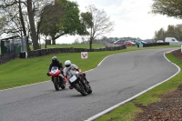 enduro-digital-images;event-digital-images;eventdigitalimages;no-limits-trackdays;oulton-no-limits-trackday;oulton-park-cheshire;oulton-trackday-photographs;peter-wileman-photography;racing-digital-images;trackday-digital-images;trackday-photos