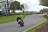 enduro-digital-images;event-digital-images;eventdigitalimages;no-limits-trackdays;oulton-no-limits-trackday;oulton-park-cheshire;oulton-trackday-photographs;peter-wileman-photography;racing-digital-images;trackday-digital-images;trackday-photos