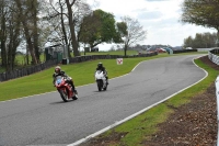 enduro-digital-images;event-digital-images;eventdigitalimages;no-limits-trackdays;oulton-no-limits-trackday;oulton-park-cheshire;oulton-trackday-photographs;peter-wileman-photography;racing-digital-images;trackday-digital-images;trackday-photos