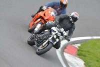 NOVICE BLUE/WHITE BIKES
