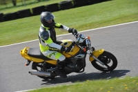 cadwell-no-limits-trackday;cadwell-park;cadwell-park-photographs;cadwell-trackday-photographs;enduro-digital-images;event-digital-images;eventdigitalimages;no-limits-trackdays;peter-wileman-photography;racing-digital-images;trackday-digital-images;trackday-photos