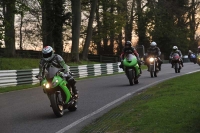 EVENING NOVICE GREEN/YELLOW BIKES