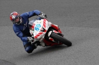 enduro-digital-images;event-digital-images;eventdigitalimages;no-limits-trackdays;oulton-no-limits-trackday;oulton-park-cheshire;oulton-trackday-photographs;peter-wileman-photography;racing-digital-images;trackday-digital-images;trackday-photos