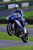 EVENING FAST BLUE/WHITE BIKES