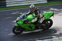 NOVICE MULTICOLOUR BIKES