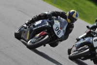 anglesey;brands-hatch;cadwell-park;croft;donington-park;enduro-digital-images;event-digital-images;eventdigitalimages;mallory;no-limits;oulton-park;peter-wileman-photography;racing-digital-images;silverstone;snetterton;trackday-digital-images;trackday-photos;welsh-2-day-enduro