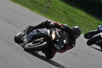 anglesey;brands-hatch;cadwell-park;croft;donington-park;enduro-digital-images;event-digital-images;eventdigitalimages;mallory;no-limits;oulton-park;peter-wileman-photography;racing-digital-images;silverstone;snetterton;trackday-digital-images;trackday-photos;welsh-2-day-enduro