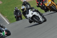 anglesey;brands-hatch;cadwell-park;croft;donington-park;enduro-digital-images;event-digital-images;eventdigitalimages;mallory;no-limits;oulton-park;peter-wileman-photography;racing-digital-images;silverstone;snetterton;trackday-digital-images;trackday-photos;welsh-2-day-enduro