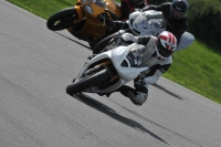 anglesey;brands-hatch;cadwell-park;croft;donington-park;enduro-digital-images;event-digital-images;eventdigitalimages;mallory;no-limits;oulton-park;peter-wileman-photography;racing-digital-images;silverstone;snetterton;trackday-digital-images;trackday-photos;welsh-2-day-enduro