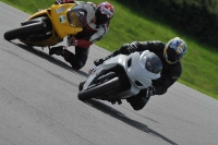 anglesey;brands-hatch;cadwell-park;croft;donington-park;enduro-digital-images;event-digital-images;eventdigitalimages;mallory;no-limits;oulton-park;peter-wileman-photography;racing-digital-images;silverstone;snetterton;trackday-digital-images;trackday-photos;welsh-2-day-enduro