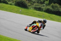 anglesey;brands-hatch;cadwell-park;croft;donington-park;enduro-digital-images;event-digital-images;eventdigitalimages;mallory;no-limits;oulton-park;peter-wileman-photography;racing-digital-images;silverstone;snetterton;trackday-digital-images;trackday-photos;welsh-2-day-enduro