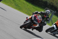 anglesey;brands-hatch;cadwell-park;croft;donington-park;enduro-digital-images;event-digital-images;eventdigitalimages;mallory;no-limits;oulton-park;peter-wileman-photography;racing-digital-images;silverstone;snetterton;trackday-digital-images;trackday-photos;welsh-2-day-enduro