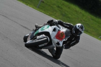 anglesey;brands-hatch;cadwell-park;croft;donington-park;enduro-digital-images;event-digital-images;eventdigitalimages;mallory;no-limits;oulton-park;peter-wileman-photography;racing-digital-images;silverstone;snetterton;trackday-digital-images;trackday-photos;welsh-2-day-enduro