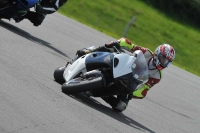 anglesey;brands-hatch;cadwell-park;croft;donington-park;enduro-digital-images;event-digital-images;eventdigitalimages;mallory;no-limits;oulton-park;peter-wileman-photography;racing-digital-images;silverstone;snetterton;trackday-digital-images;trackday-photos;welsh-2-day-enduro