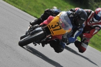 anglesey;brands-hatch;cadwell-park;croft;donington-park;enduro-digital-images;event-digital-images;eventdigitalimages;mallory;no-limits;oulton-park;peter-wileman-photography;racing-digital-images;silverstone;snetterton;trackday-digital-images;trackday-photos;welsh-2-day-enduro