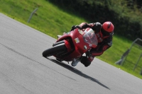 anglesey;brands-hatch;cadwell-park;croft;donington-park;enduro-digital-images;event-digital-images;eventdigitalimages;mallory;no-limits;oulton-park;peter-wileman-photography;racing-digital-images;silverstone;snetterton;trackday-digital-images;trackday-photos;welsh-2-day-enduro