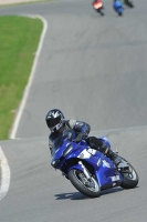 anglesey;brands-hatch;cadwell-park;croft;donington-park;enduro-digital-images;event-digital-images;eventdigitalimages;mallory;no-limits;oulton-park;peter-wileman-photography;racing-digital-images;silverstone;snetterton;trackday-digital-images;trackday-photos;welsh-2-day-enduro