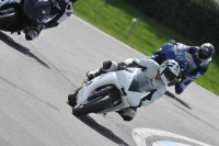 anglesey;brands-hatch;cadwell-park;croft;donington-park;enduro-digital-images;event-digital-images;eventdigitalimages;mallory;no-limits;oulton-park;peter-wileman-photography;racing-digital-images;silverstone;snetterton;trackday-digital-images;trackday-photos;welsh-2-day-enduro