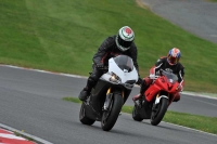 NOVICE MULTICOLOUR BIKES